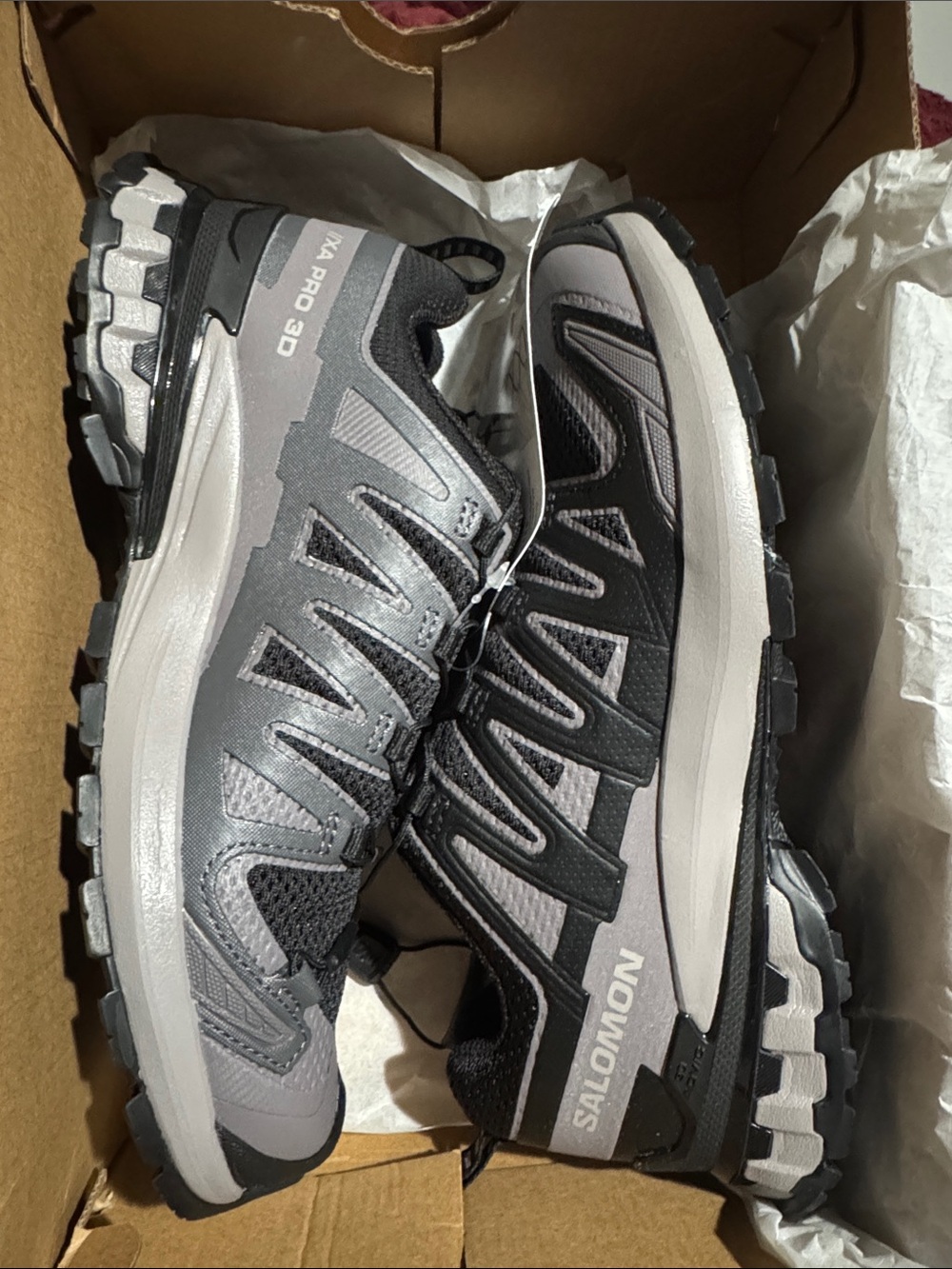 Salomon Women's XA Pro 3D Trail Shoes - Gray and Black